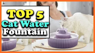 ✅Top 5 Best Cat Water Fountains of 2022