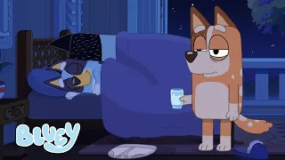 Winding Down with Bluey | Bluey