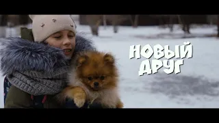 Новый друг. Короткометражный фильм