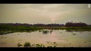 Nature Status Video - KARTSY