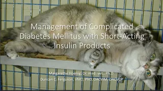 Management of Complicated Diabetes Mellitus in Dogs and Cats, Part 1: Diagnosis