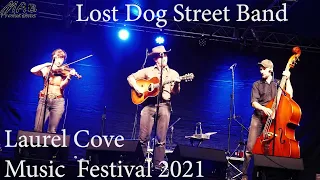 Lost Dog Street Band 2021
