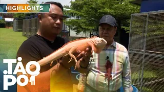 'Tao Po:' Lalaki gumawa ng sariling animal farm dahil sa pagmamahal sa mga hayop