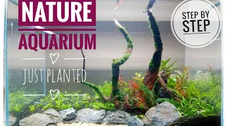 Nature Aquarium Aquascape Tutorial -part 1