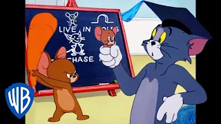 Tom & Jerry in italiano | Si torna a scuola | WB Kids