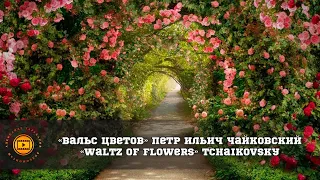 «Вальс цветов». Петр Ильич Чайковский. («Waltz of flowers». Tchaikovsky.)