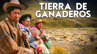 Huari: COMUNIDAD OLVIDADA que hizo de la ganadería su fuente de sustento | DOCUMENTAL