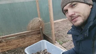 Выращивание Виноградных улиток.Что происходит с улиткой зимой?