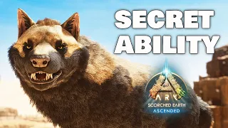 Direwolf's Secret Ability Will SAVE you on Scorched Earth - Ark Survival Ascended.