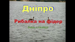 Дніпро. Рибалка на фідер.