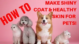 How to Have Shiny Coat and Healthy Skin for your Pets