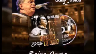 FLÁVIO JOSÉ-A NATUREZA DAS COISAS