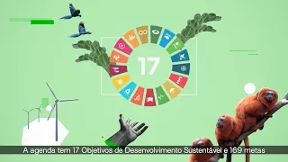 Conheça o perfil de sustentabilidade das cidades brasileiras