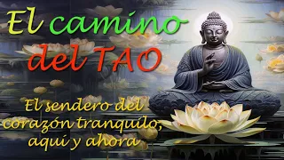 EL CAMINO DEL TAO