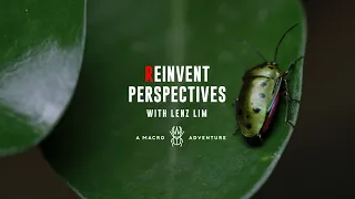 Expert Tips for Insect Macro Photography Using EOS R6 (Trailer)