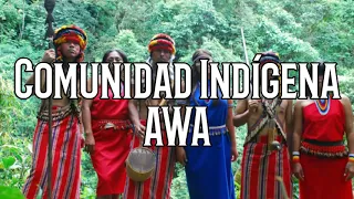Comunidad indígena AWA | Principales Características