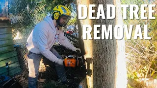 DEAD TREE REMOVAL