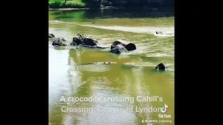 Commentary on a Crocodile at Cahill’s Crossing