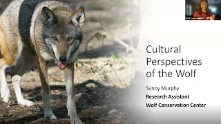 Cultural Perspectives of the Wolf - A Webinar with Sunny Murphy, WCC Research Associate