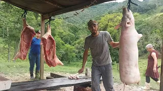 A fartura do campo , Dia de abate de porcos muita carne