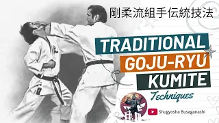 剛柔流組手伝統技法 || Traditional Goju-ryu Kumite Techniques