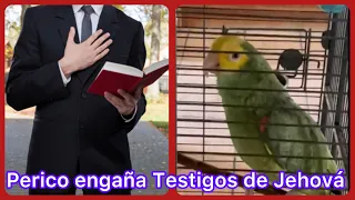 Perico engaña a Testigos de Jehová diciendo Ahí voy los deja esperando por 30 minutos