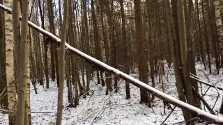 Охота в Вавожском районе