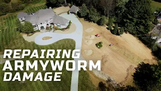 Ventrac Vs Armyworms | GCI Turf Lawn Restoration