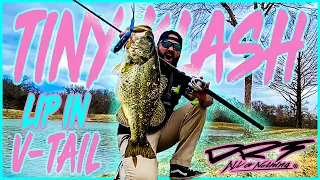 DRT Tiny Klash Catches Big Bass in Urban Pond (Works every time)