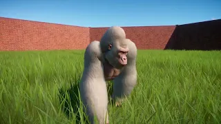 Albino Gorilla | Planet Zoo Animals