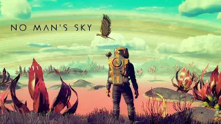 Бесконечное космическое путешествие [No Man's Sky]