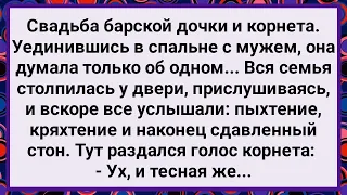 Как Барыня и Корнет Первую Брачную Ночь Провели! Большой Сборник Свежих Смешных Анекдотов!