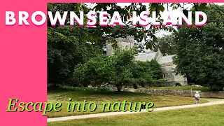 SUMMER | BROWNSEA ISLAND WALK - ESCAPE INTO NATURE | 4K