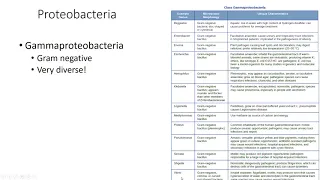 Chapter 4 Openstax Microbiology