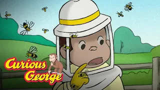 How Bees Make Honey 🐵 Curious George 🐵Kids Cartoon 🐵 Kids Movies 🐵Videos for Kids