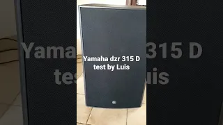 Yamaha Dzr 315 D home test