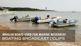 Vintage Boston Whaler Boats Used for Marine Research! | Boating Broadcast Clips