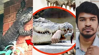 Never go near these 10 Animals | Tamil