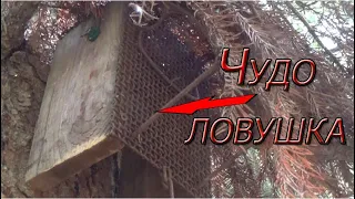 Случайно нашел золото в ручье и не только...!!!