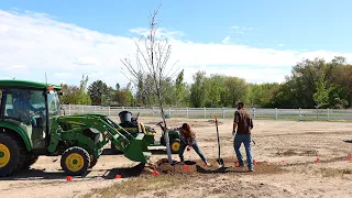 FINALLY Planting 21 Huge Trees on the New Property! 🙌🌳 // Garden Answer
