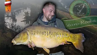 Mario nadal w KARPIOWYM GAZIE💥 | Przedwiosenna zasiadka na Starorzece | Fox carp fishing