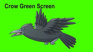 crow green screen video || crow flying green screen