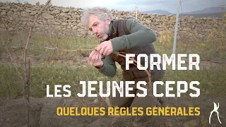 La taille de formation de la vigne : quelques règles générales à respecter - Taille de la vigne