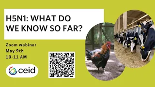 H5N1: What do we know so far?