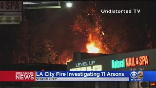 String Of 10 Studio City Fires Investigated As Arson; Man In Custody