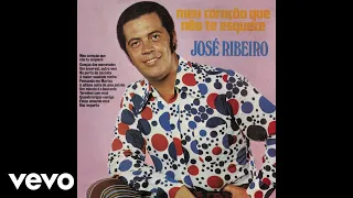 José Ribeiro - Um Amor Vai, Outro Vem (Áudio Oficial)
