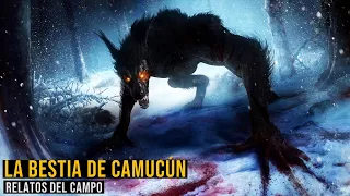 La Bestia De Camacún (Relatos De Terror)