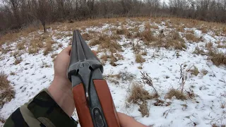 Охота на кабана с ружьем