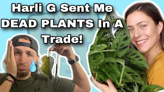 Harli G Sent Me DEAD Houseplants in a Trade! | Plant Haul/Unboxing