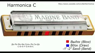 Gamma C Major in Harmonica C